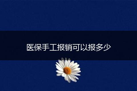 医保手工报销可以报多少