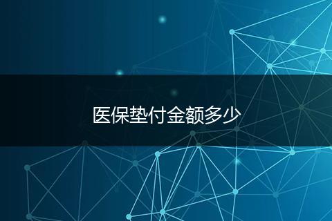 医保垫付金额多少