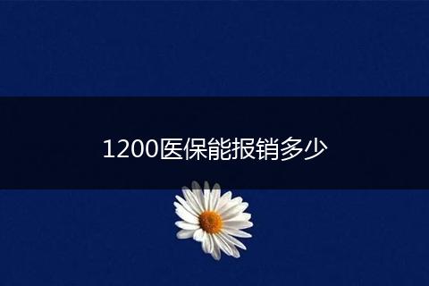 1200医保能报销多少
