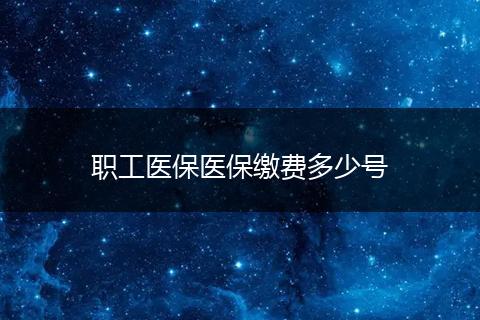职工医保医保缴费多少号