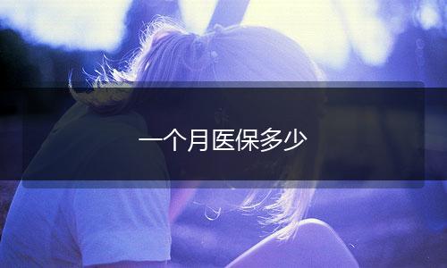 一个月医保多少
