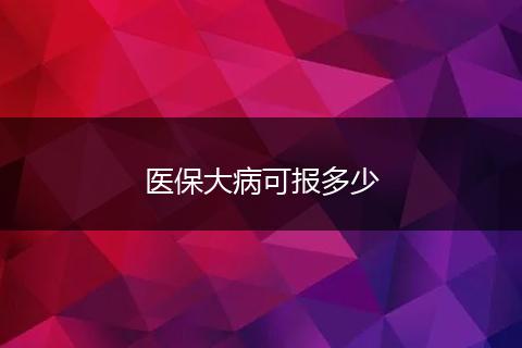 医保大病可报多少