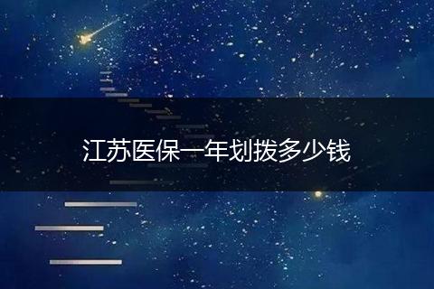 江苏医保一年划拨多少钱