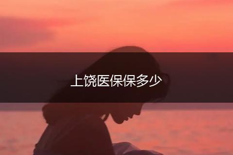 上饶医保保多少