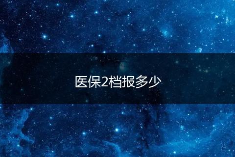 医保2档报多少