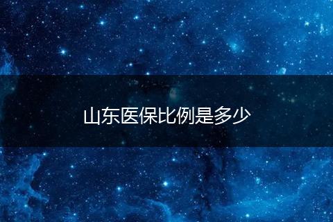 山东医保比例是多少