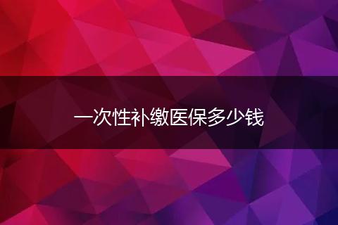一次性补缴医保多少钱
