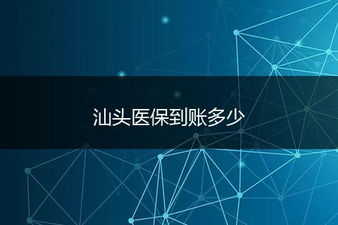 汕头医保到账多少