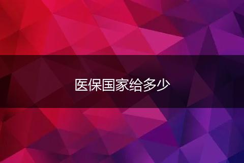 医保国家给多少