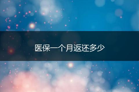 医保一个月返还多少