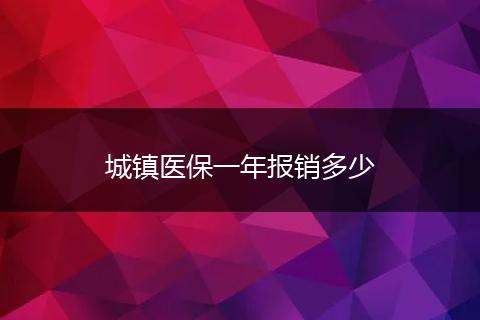 城镇医保一年报销多少
