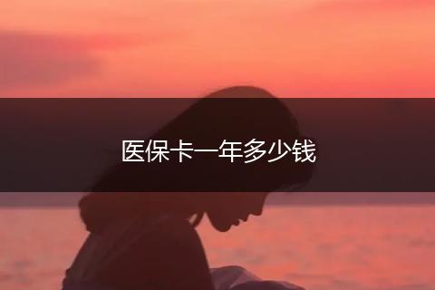 医保卡一年多少钱