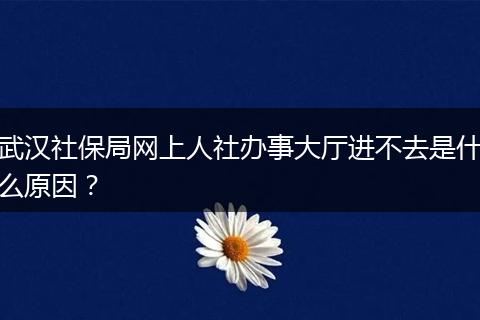 武汉社保局网上人社办事大厅进不去是什么原因？