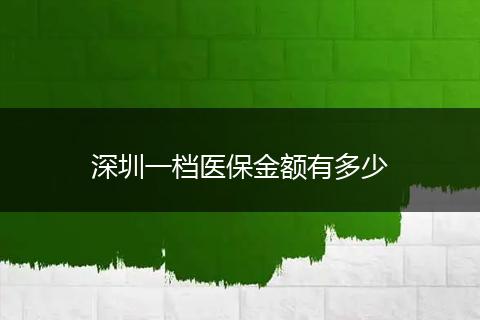 深圳一档医保金额有多少