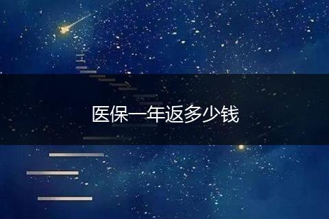 医保一年返多少钱