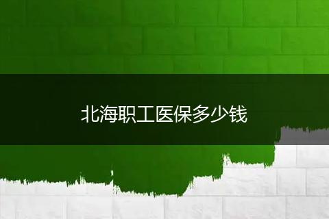 北海职工医保多少钱