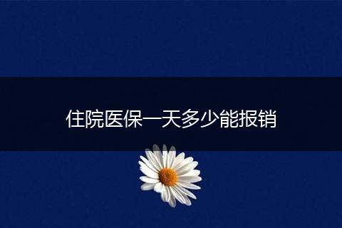 住院医保一天多少能报销