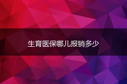 生育医保哪儿报销多少