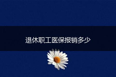 退休职工医保报销多少