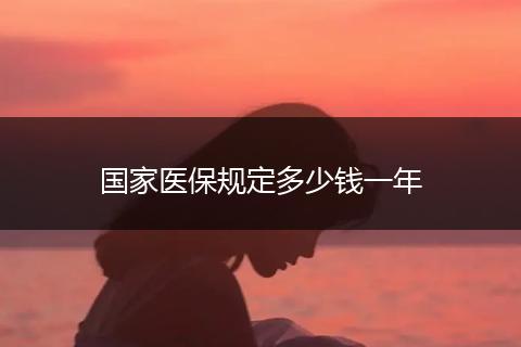 国家医保规定多少钱一年