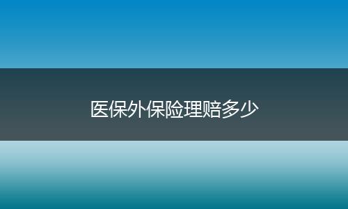 医保外保险理赔多少