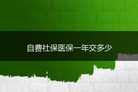 自费社保医保一年交多少
