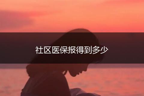 社区医保报得到多少