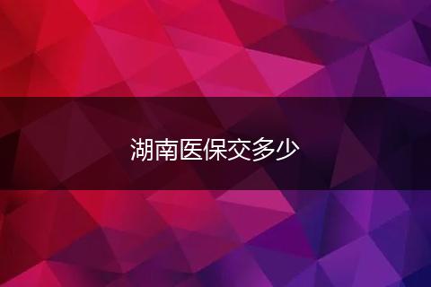 湖南医保交多少