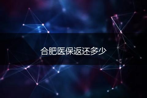 合肥医保返还多少