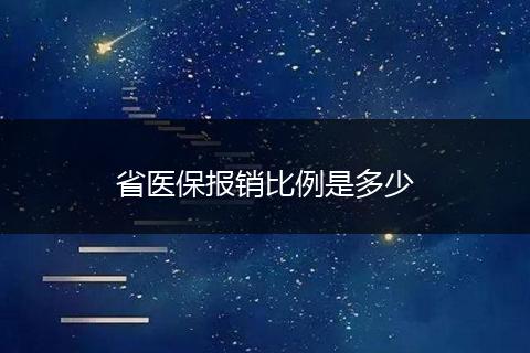 省医保报销比例是多少