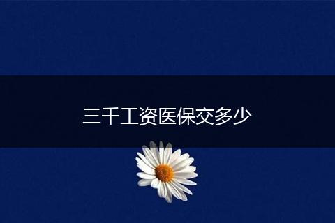 三千工资医保交多少