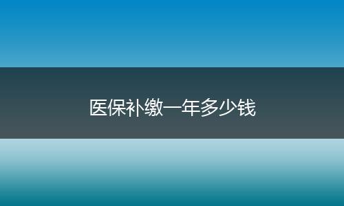 医保补缴一年多少钱