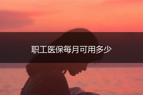 职工医保每月可用多少