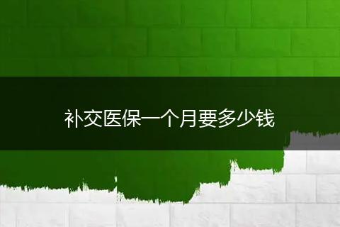 补交医保一个月要多少钱