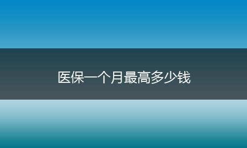 医保一个月最高多少钱