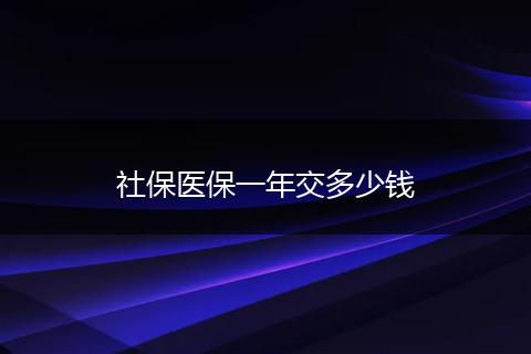 社保医保一年交多少钱