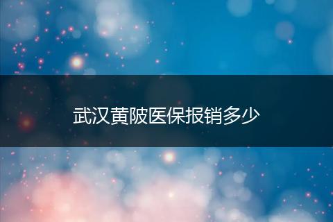 武汉黄陂医保报销多少