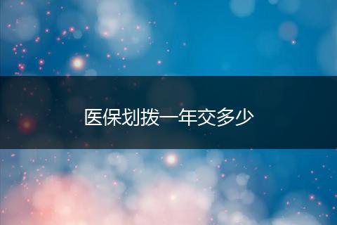 医保划拨一年交多少