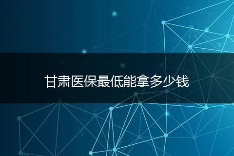 甘肃医保最低能拿多少钱