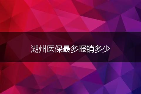 湖州医保最多报销多少
