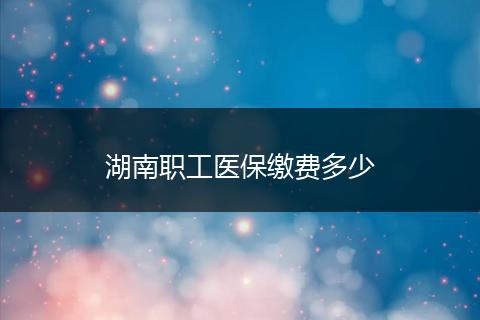 湖南职工医保缴费多少
