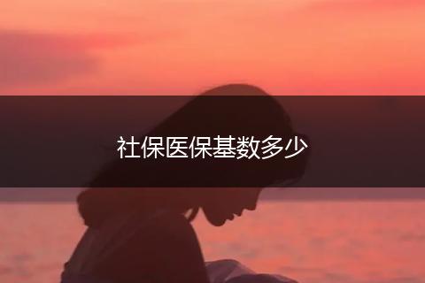 社保医保基数多少