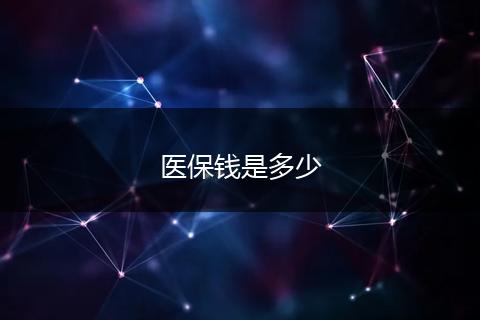 医保钱是多少