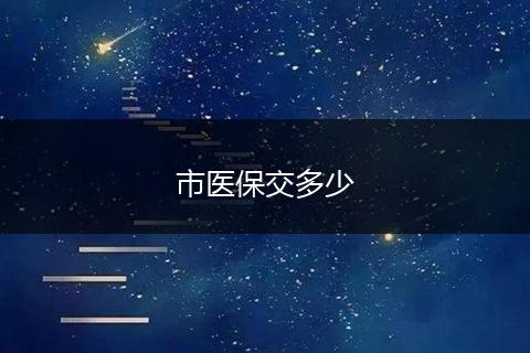 市医保交多少
