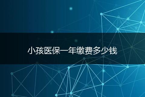 小孩医保一年缴费多少钱