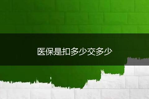 医保是扣多少交多少