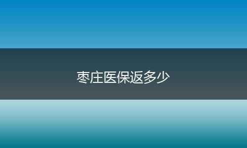 枣庄医保返多少