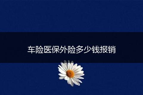 车险医保外险多少钱报销