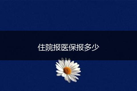 住院报医保报多少