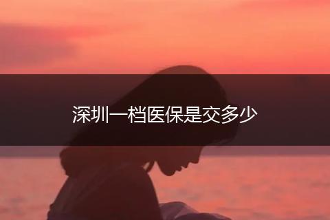 深圳一档医保是交多少